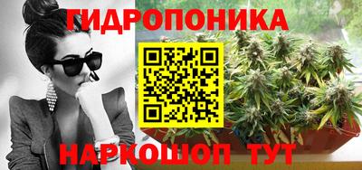 соль ск Будённовск